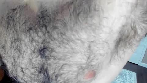 Wade Biggs online show from January 25, 2:15 am