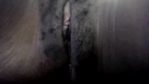 Hevyn online show from November 14, 4:03 am