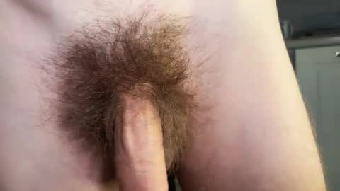 Arnold online show from September 28, 8:29 pm