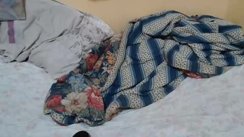 kadija online show from January 15, 10:17 am