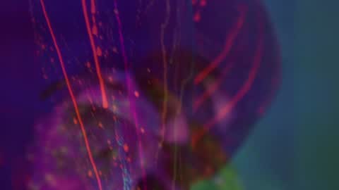 Alina online show from September 8, 5:34 pm