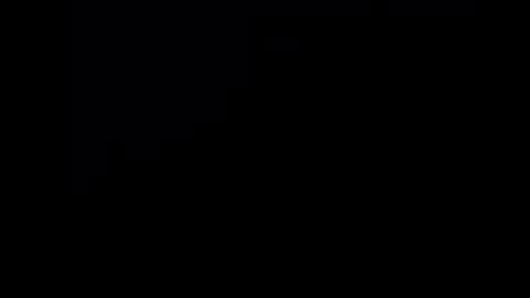 hideonbush online show from January 7, 2:11 pm