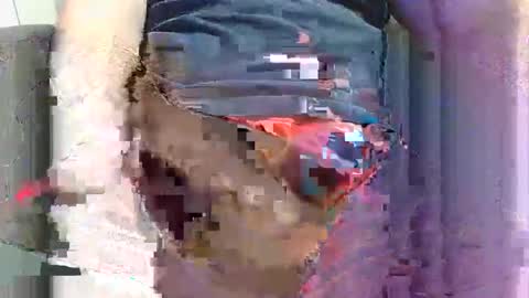 hogants44 online show from December 2, 9:09 am