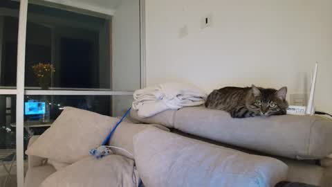 hollyshit_ online show from September 20, 2:25 am