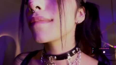 holly online show from February 4, 11:41 pm