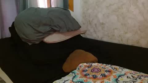 Honey-Sweett online show from July 28, 7:39 pm