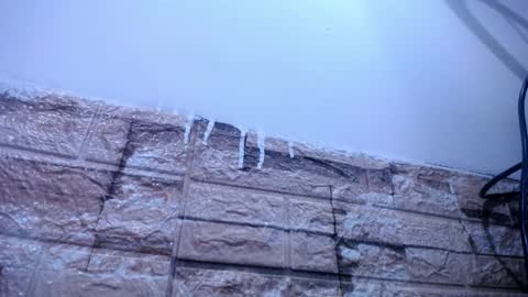 Victoria online show from April 4, 8:32 am