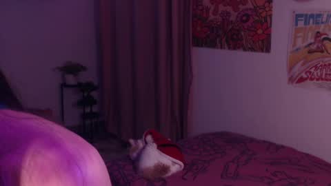    online show from December 6, 11:30 pm