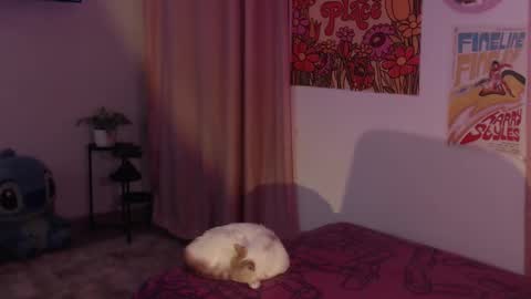    online show from December 11, 12:12 am