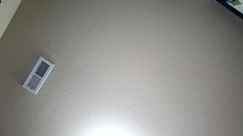 hookdick105799 online show from March 31, 2:56 am