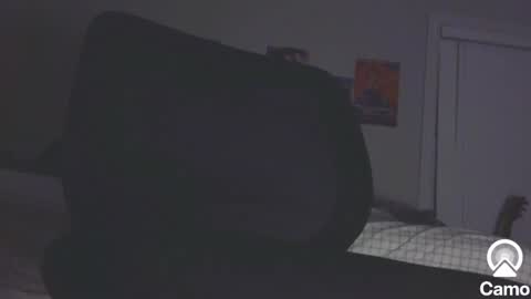 horny0g online show from January 24, 4:59 am