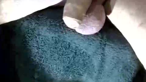 horse_dick9 online show from September 21, 11:03 am