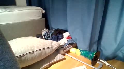 hot3anal6slut9 online show from November 18, 1:30 am