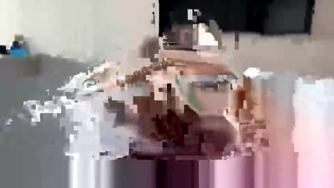 Brade online show from October 20, 7:24 am