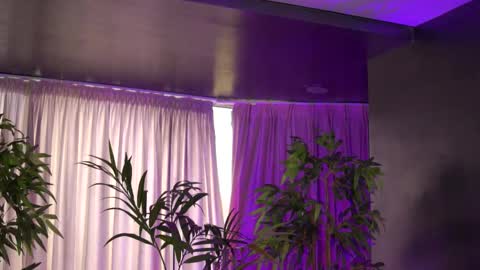 Anais online show from October 24, 8:48 am