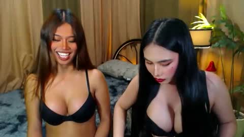 EVA online show from November 12, 2:25 am