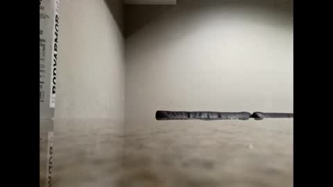 htxsaucehoggn online show from March 31, 10:05 am