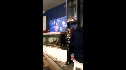 hubeer online show from January 11, 4:07 am