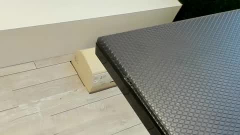 Erin online show from March 3, 7:32 am