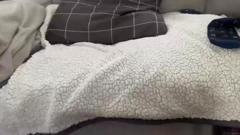 AARON online show from April 13, 6:23 pm