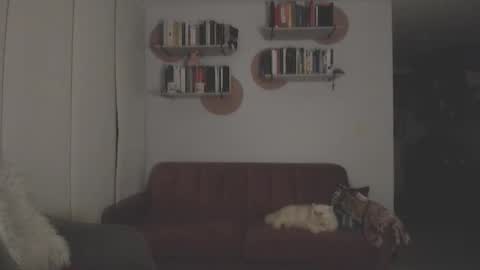 Lana Banana online show from September 18, 3:32 am