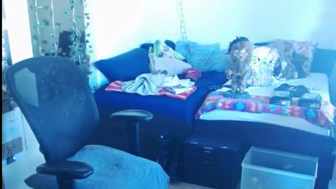 Snapshot of ibpms247 chatting on February 24, 5:42 pm PMS online show from February 24, 5:42 pm