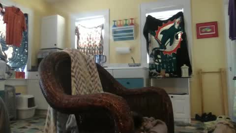 idksohorny online show from December 4, 3:37 pm