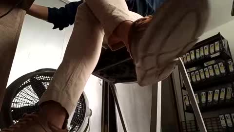 idris izan online show from October 28, 5:47 pm