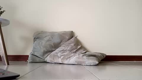 idris izan online show from November 1, 7:57 pm