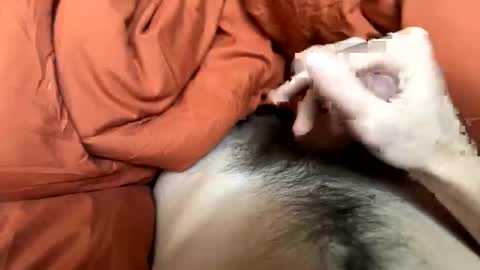 imakeucumonmyface online show from February 25, 9:18 pm