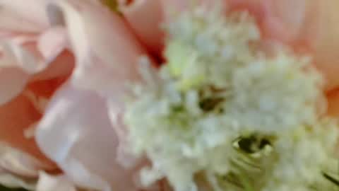 Carrie online show from March 3, 4:26 pm