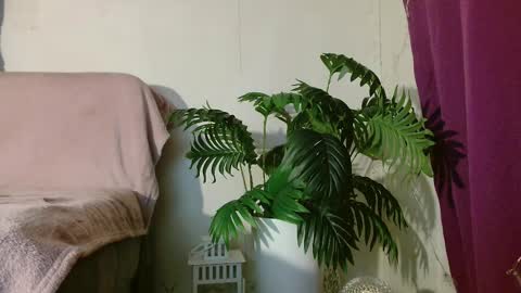 Carrie online show from January 15, 3:54 pm