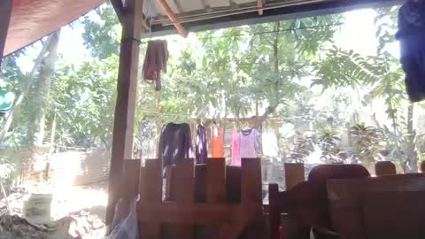 Immaculate02 online show from February 1, 4:46 am