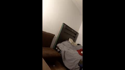 imyourpleasurebae online show from April 7, 7:54 am