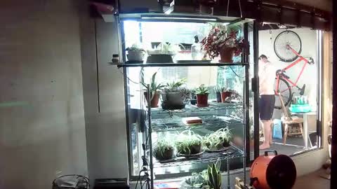 BroLOU online show from June 11, 2:53 am