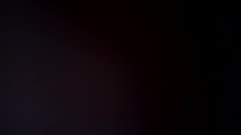 interested247 online show from January 12, 2:41 pm