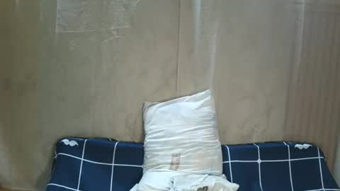 shirin online show from October 11, 3:00 am