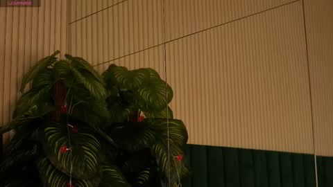 Maria online show from October 31, 12:55 am