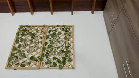 Isabella online show from February 13, 10:22 pm