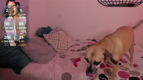 Isa online show from January 4, 6:09 am