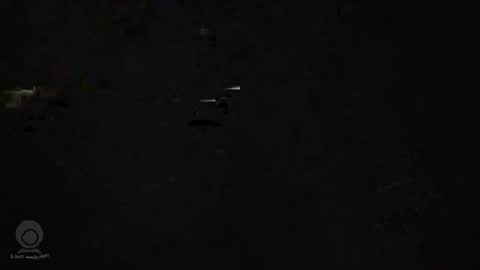 Horny boy online show from April 18, 10:17 am