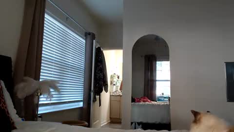 Alexis Rae online show from October 13, 12:40 pm