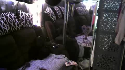 Jamie Rose Queenschild ever... online show from February 9, 10:53 am