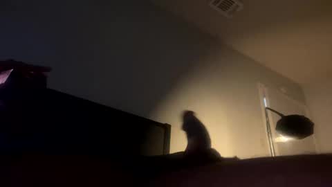 Jamacian online show from November 5, 10:23 pm