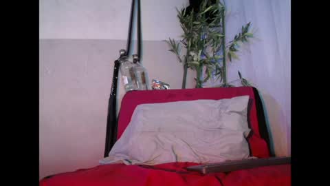 Jamaica online show from April 8, 1:52 am