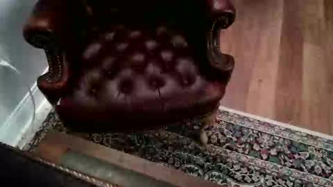 James Pembroke at your service online show from September 17, 7:17 pm