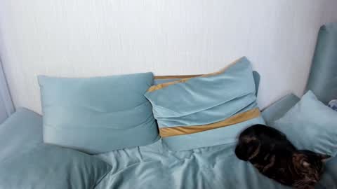 Jane online show from January 25, 9:04 pm