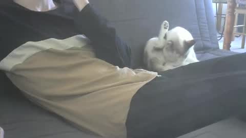 jasper 0 e23cm online show from September 21, 7:45 am