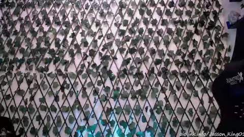 JKing  online show from September 18, 10:19 am