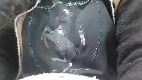 jasspreettt online show from February 2, 6:58 am